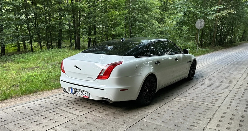 Jaguar XJ cena 99900 przebieg: 79000, rok produkcji 2015 z Barcin małe 596